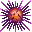 SeaUrchin SeaUrchin