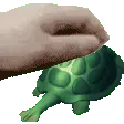pettheturters