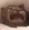 cri