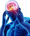 BigBrain Discord emoji