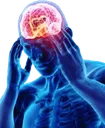 BigBrain