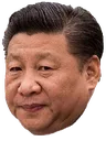 Xi