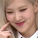 RoseShy