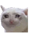 RGants_in_my_pants