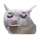 catpensive