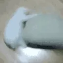 TheGear