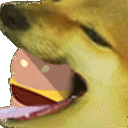 borgerdoge Discord Emoji