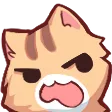 cat_wut