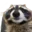 racon