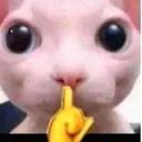 bingusshh