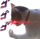 5_catto_dio