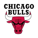 bulls