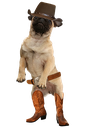 :pugboy: