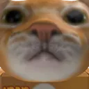 Cc
