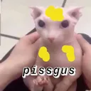 pissgus