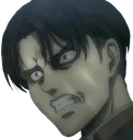 levi_anger