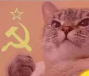 communistcat Discord Emoji