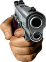 Gun