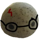 roc_potter roc_potter