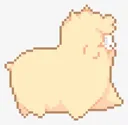 alpaca