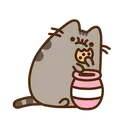 pusheeneat