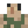 Survivor Survivor