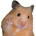 flipthatbirdhammy