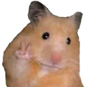 :flipthatbirdhammy: