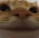 kitty_smile