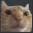 st