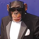 monkeySWAG