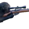 snipe2