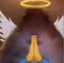 hamsturpray