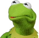 H5_kermitwtf