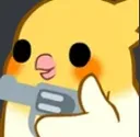 birbgun