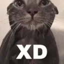 ga_xd
