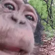 monkeLick