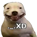 wa__XD