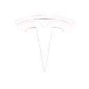 TeslaGang