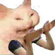 Kitty_Angry_Hands_LP
