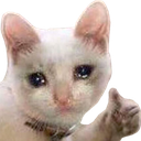 Cry_Kitty_Thumbsup_LP