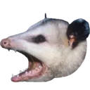 baaa