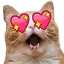 kittyluv Discord Emoji