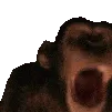 MONKE MONKE