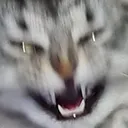 hehe