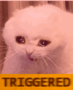 CatTriggered Discord Emoji