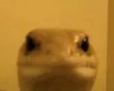 Bruh