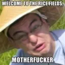 ricefeilds