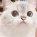 no no
