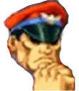 bisonthonk